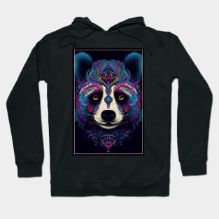 Magic Panda | Native American Art Panda | Aesthetic Animal Art Hoodie